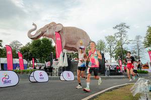 BIB: 
                            <button type="button" onclick="openModal(26528442)" class="btn btn-primary btn-sm float-right btn-popup" data-toggle="modal" data-target=".modal-high-quality">
                        <i class="fas fa-shopping-cart"></i> Add to Cart
                    </button>
                                            <button type="button" onclick="isThisMe(26528442, true)" class="btn btn-success btn-sm float-right btn-popup btn-isme hidden" data-toggle="tooltip" data-placement="bottom" title="นี่คือรูปของคุณใช่ไหม คลิกที่นี่เพื่อเอาเข้าอัลบั้ม">
                        <i class="fas fa-plus"></i> Add to album
                    </button>
                    <button type="button" onclick="isThisMe(26528442, false)" class="btn btn-warning btn-sm float-right btn-popup btn-isnotme hidden">
                        <i class="fas fa-ban"></i> Remove from album
                    </button>